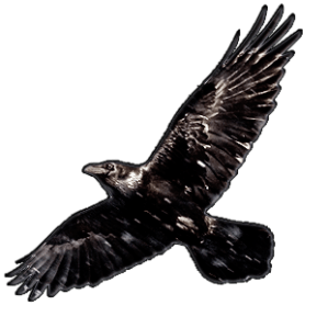 ill_Raven_1