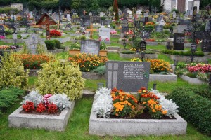 cemetery_with_flowers_184918